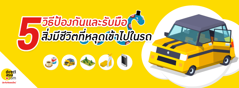หนูเข้ารถทําไง? ดี วิธีกําจัดสัวต์ในรถ